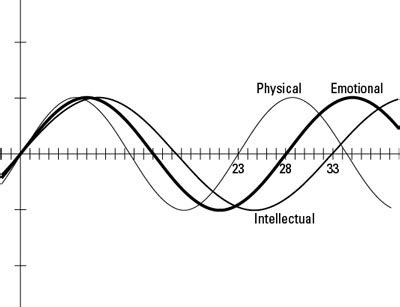 biorhythms for gambling|Biorhythms Explained: What Are They and How Do .